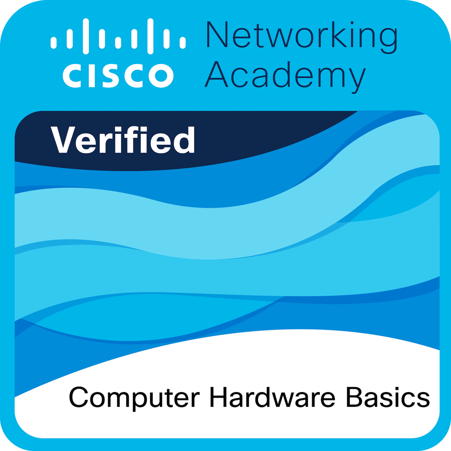 Cisco_Computer_Hardware_Basics